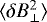 $\langle \delta B_{\perp}^2\rangle$