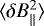 $\langle \delta B_{\parallel}^2 \rangle$