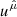 $ {{u}^{{\hat{\mu }}}} $
