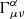 $ \Gamma _{\mu \nu }^{\alpha } $