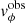 $ {\it v}_\phi^{\rm obs} $