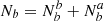 $ N_b = N_b^b + N_b^a $