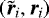 $(\tilde{\bm{r}}_i,\bm{r}_i)$