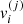 $ v_{i}^{(j)} $