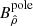 $ B_{\hat \rho}^{\mathrm{pole}} $
