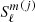 $ {S_\ell^m}^{(j)} $