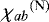 $\chi_{ab}{}^{\rm(N)}$