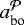 $a_{\textrm{bo}}^{\mathcal{P}}$
