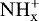 $\rm{NH}_{x}^{+}$