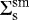 $\Sigma_{\textrm{s}}^{\textrm{sm}}$