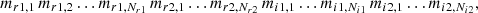 $$ \begin{aligned} m_{r1, 1} \, m_{r1, 2} \ldots m_{r1, N_{r1}} \, m_{r2, 1} \ldots m_{r2, N_{r2}} \, m_{i1, 1} \ldots m_{i1, N_{i1}} \, m_{i2, 1} \ldots m_{i2, N_{i2}}, \end{aligned} $$