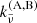 $ k_{{\tilde{\nu}}}^{(\mathrm{A,B})} $