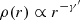 $ \rho(r) \propto r^{-\gamma^\prime} $