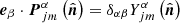 $ \boldsymbol{e}_\beta \cdot \boldsymbol{P}_{jm}^{\alpha}\left(\hat{\boldsymbol{n}}\right) = \delta_{\alpha\beta} Y_{jm}^{\alpha}\left(\hat{\boldsymbol{n}}\right) $