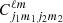 $ C_{j_{1}m_{1}j_{2}m_{2}}^{\ell m} $
