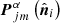 $ \boldsymbol{P}_{jm}^{\alpha}\left(\hat{\boldsymbol{n}}_i\right) $