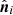 $ \hat{\boldsymbol{n}}_i $