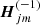 $ \boldsymbol{H}_{jm}^{\left(-1\right)} $