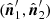 $ (\hat{\boldsymbol{n}}^\prime_1,\hat{\boldsymbol{n}}^\prime_2) $
