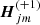 $ \boldsymbol{H}_{jm}^{\left(+1\right)} $