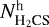 $N_{{\textrm{H}_2\textrm{CS}}}^{\textrm{h}}$