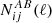 $ N_{ij}^{AB}(\ell) $