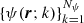 $ \{\psi(\boldsymbol r;k)\}_{k=1}^{{N_\psi}} $