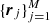 $ \{\boldsymbol {r}_j\}_{j=1}^M $