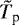 $\tilde{T}_{\textrm{p}}$