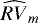 $\widehat{RV}_m$