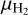 ${\mu _{{{\rm{H}}_2}}}$