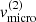 $ v_{\mathrm{micro}}^{(2)} $