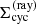 $ \Sigma_{\mathrm{cyc}}^{(\rm{ray})} $