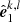 $ {\hat{\boldsymbol{e}}}_1^{k,l} $