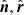 $ {\hat{\boldsymbol{n}}}, {\hat{\boldsymbol{r}}} $