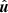 $ \hat{\boldsymbol{u}} $