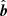 $ \hat{\boldsymbol{b}} $