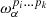 $ \omega _\alpha ^{p_i\ldots p_k} $