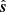 $ \hat{\boldsymbol{s}} $