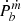 $ \dot{P}_b^{\dot{m}} $