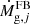 $ \dot{M}_{\mathrm{g},j}^{\mathrm{FB}} $