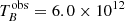 $ T_{B}^{\mathrm{obs}}=6.0\times 10^{12} $