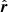 $ \hat{\boldsymbol{r}} $