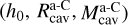 $\left( {{h_0},R_{{\rm{cav}}}^{{\rm{a - C}}},M_{{\rm{cav}}}^{{\rm{a - C}}}} \right)$