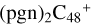 ${\left( {{\rm{pgn}}} \right)_2}{{\rm{C}}_{48}}^ + $