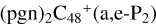 ${\left( {{\rm{pgn}}} \right)_2}{{\rm{C}}_{48}}^ + \left( {{\rm{a,e - }}{{\rm{P}}_2}} \right)$