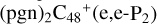 ${\left( {{\rm{pgn}}} \right)_2}{{\rm{C}}_{48}}^ + \left( {{\rm{e,e - }}{{\rm{P}}_2}} \right)$