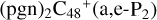 ${\left( {{\rm{pgn}}} \right)_2}{{\rm{C}}_{48}}^ + \left( {{\rm{a,e - }}{{\rm{P}}_2}} \right)$