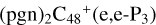 ${\left( {{\rm{pgn}}} \right)_2}{{\rm{C}}_{48}}^ + \left( {{\rm{e,e - }}{{\rm{P}}_3}} \right)$