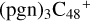 ${\left( {{\rm{pgn}}} \right)_3}{{\rm{C}}_{48}}^ + $